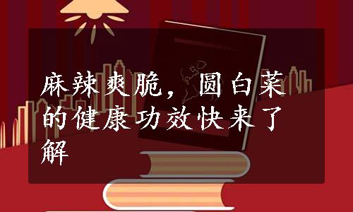 麻辣爽脆，圆白菜的健康功效快来了解