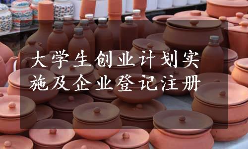 大学生创业计划实施及企业登记注册