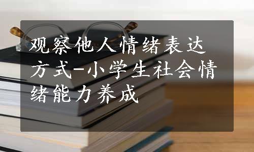 观察他人情绪表达方式-小学生社会情绪能力养成