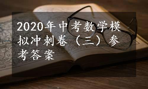 2020年中考数学模拟冲刺卷（三）参考答案 
