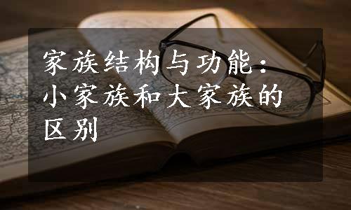 家族结构与功能：小家族和大家族的区别
