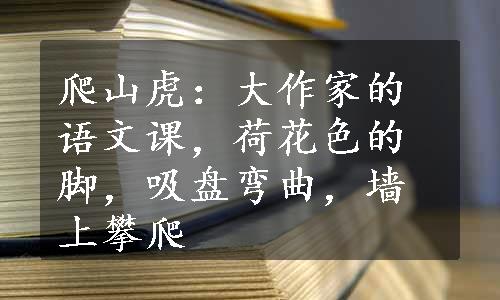 爬山虎：大作家的语文课，荷花色的脚，吸盘弯曲，墙上攀爬