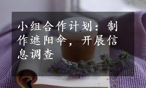 小组合作计划：制作遮阳伞，开展信息调查