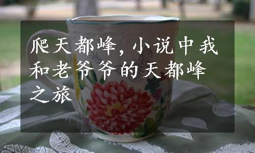 爬天都峰,小说中我和老爷爷的天都峰之旅