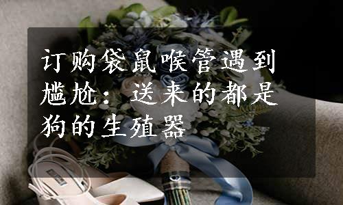 订购袋鼠喉管遇到尴尬：送来的都是狗的生殖器