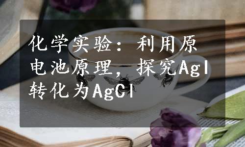 化学实验：利用原电池原理，探究AgI转化为AgCl