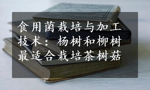 食用菌栽培与加工技术：杨树和柳树最适合栽培茶树菇