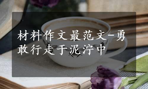材料作文最范文-勇敢行走于泥泞中