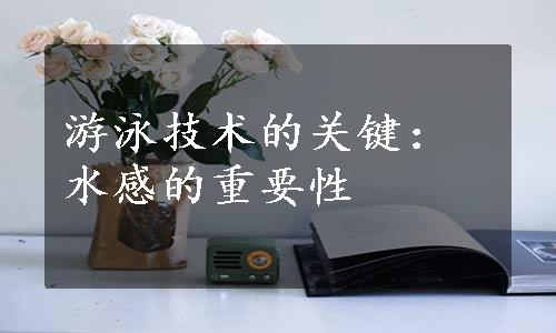游泳技术的关键：水感的重要性