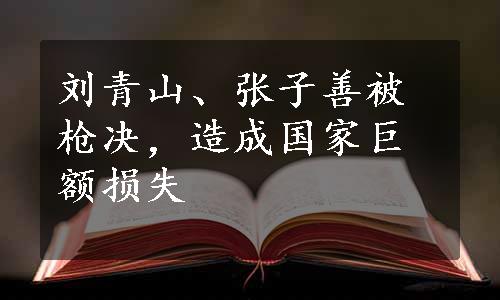 刘青山、张子善被枪决，造成国家巨额损失