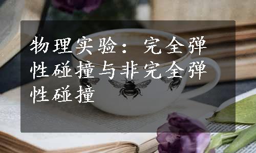 物理实验：完全弹性碰撞与非完全弹性碰撞