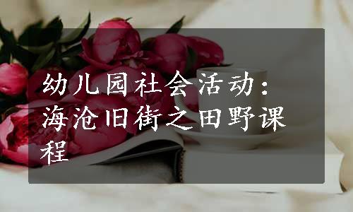 幼儿园社会活动：海沧旧街之田野课程