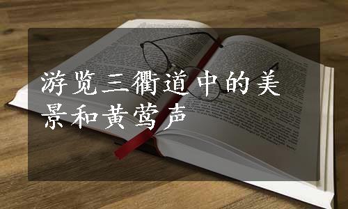 游览三衢道中的美景和黄莺声