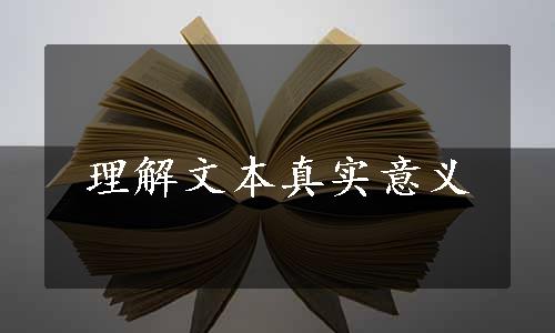 理解文本真实意义