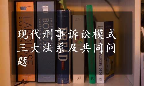 现代刑事诉讼模式三大法系及共同问题