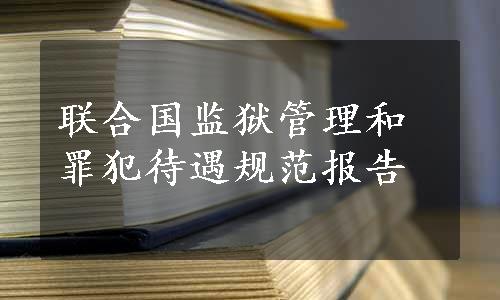 联合国监狱管理和罪犯待遇规范报告