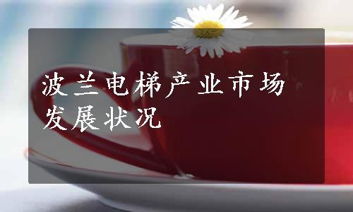 波兰电梯产业市场发展状况