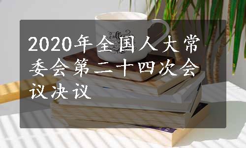 2020年全国人大常委会第二十四次会议决议