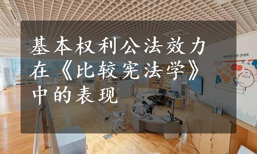基本权利公法效力 在《比较宪法学》中的表现