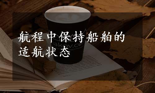 航程中保持船舶的适航状态