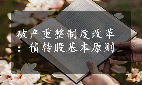 破产重整制度改革：债转股基本原则