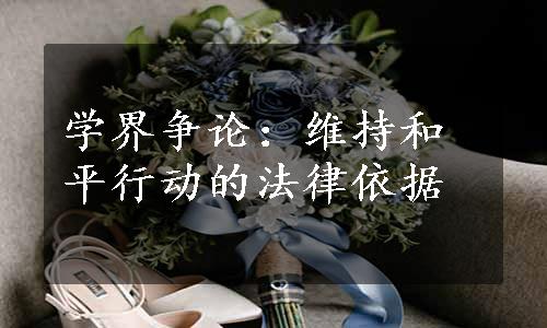 学界争论：维持和平行动的法律依据