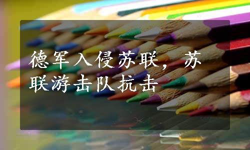 德军入侵苏联，苏联游击队抗击