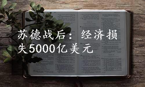 苏德战后：经济损失5000亿美元