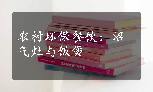 农村环保餐饮：沼气灶与饭煲